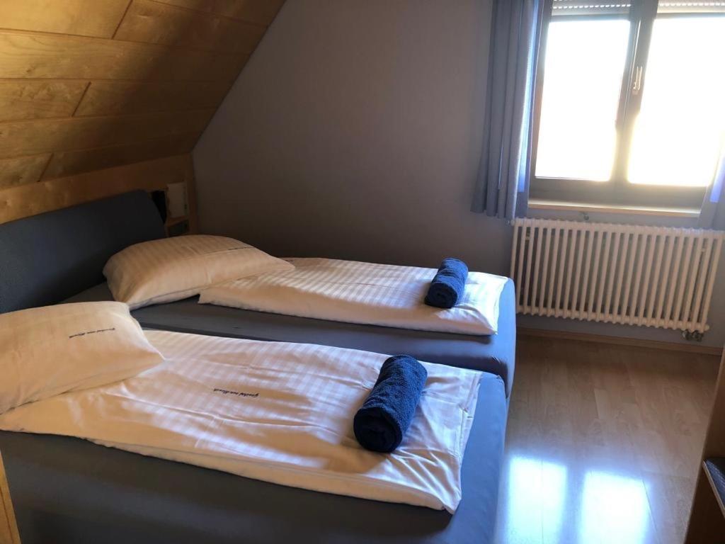 Gasthof Zum Hirsch Sachsenheim Exteriör bild